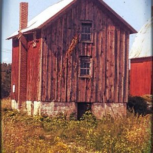 Meet your Posher, Bonnie